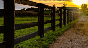 wood rail livestock fence